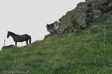 Sizilien (26 von 565).jpg